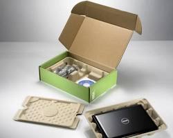 Zero-Waste Shopping and Eco-Friendly Packaging